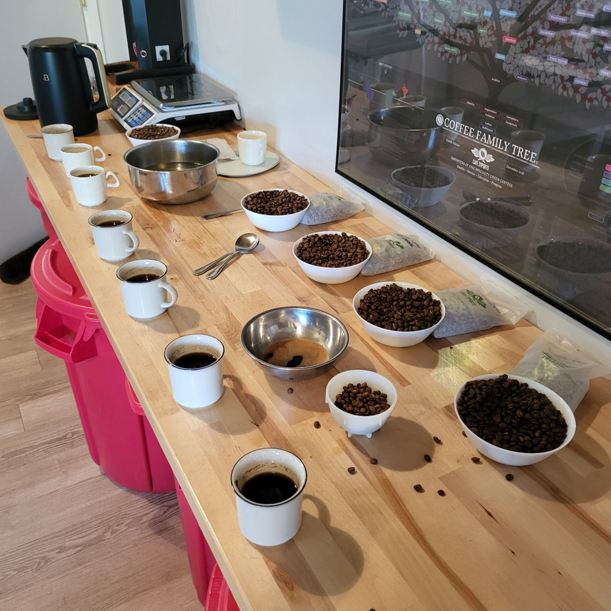 Coffee Cupping and Conversation